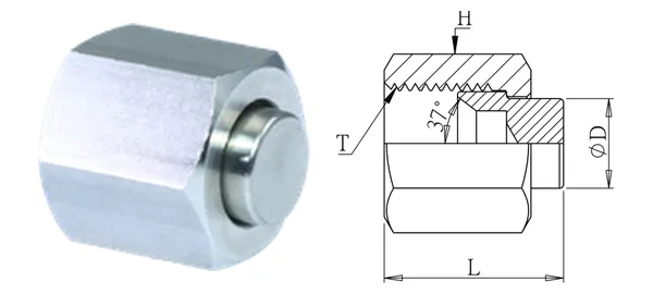 DG-HJC-007 Verschlusskappe (JIC 37°)