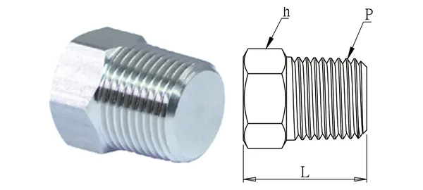 DG-PHP-007 육각 플러그