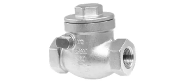 DG-VCS-006 Swing check valve